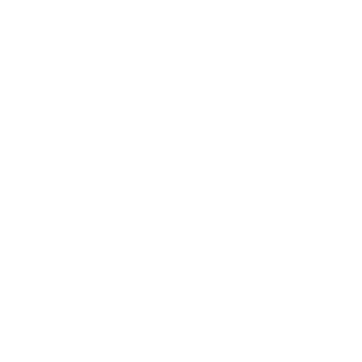 Play Icon