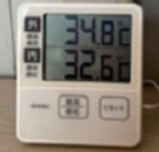 塗装済みサーモ画像